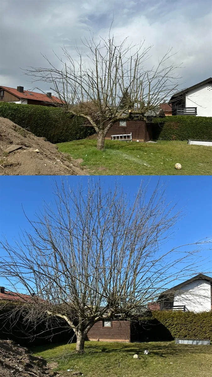 Gartenservice Dormann Referenz