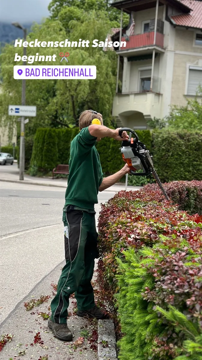 Gartenservice Dormann Referenz