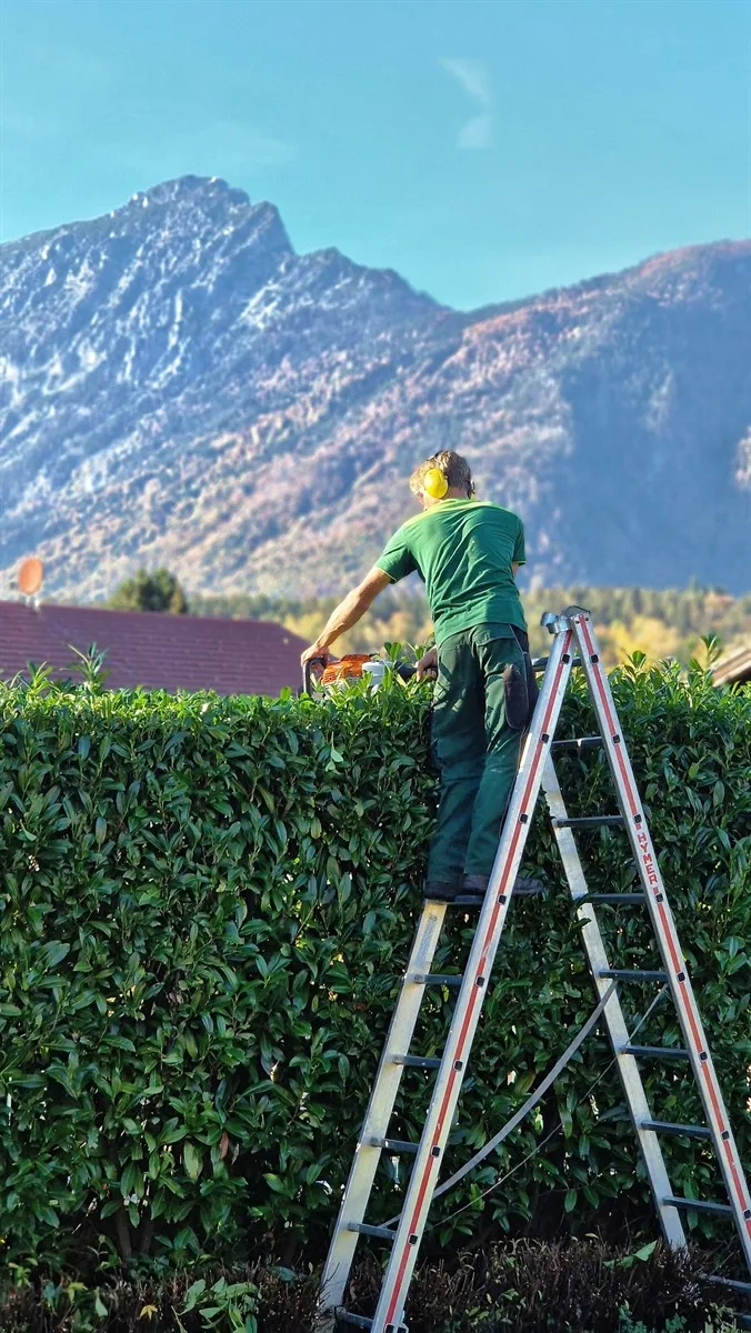 Gartenservice Dormann Referenz