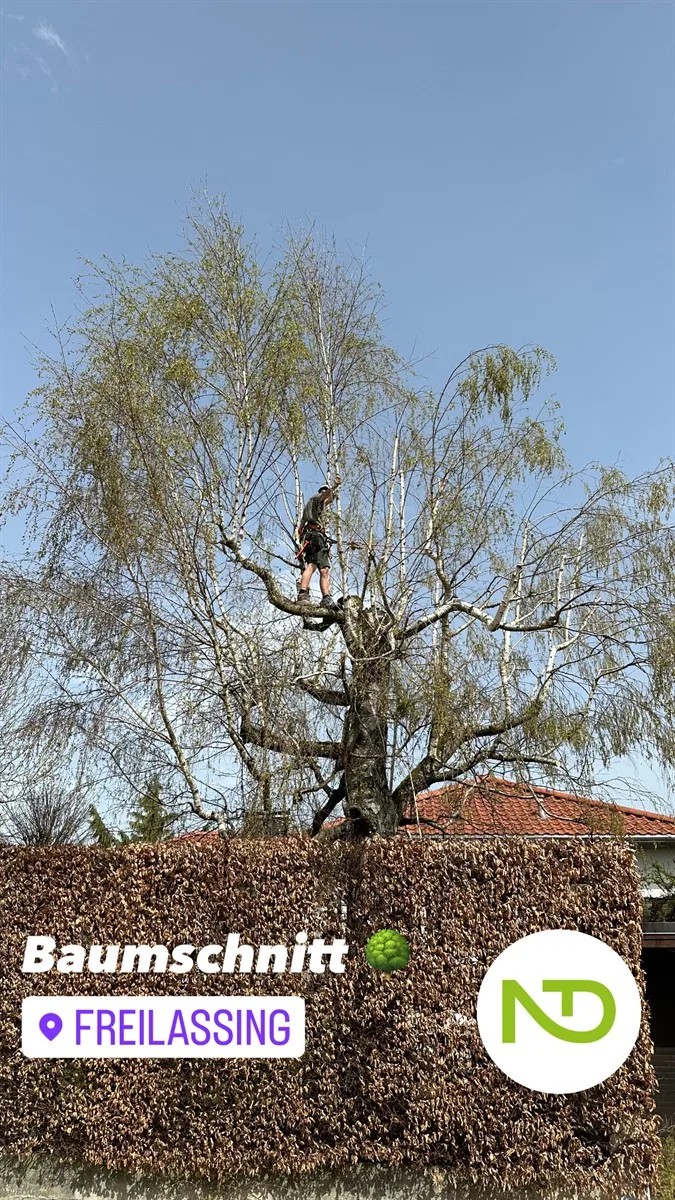 Gartenservice Dormann Referenz