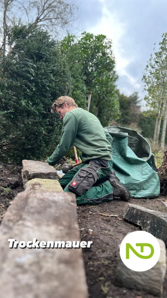 Gartenservice Dormann Referenz