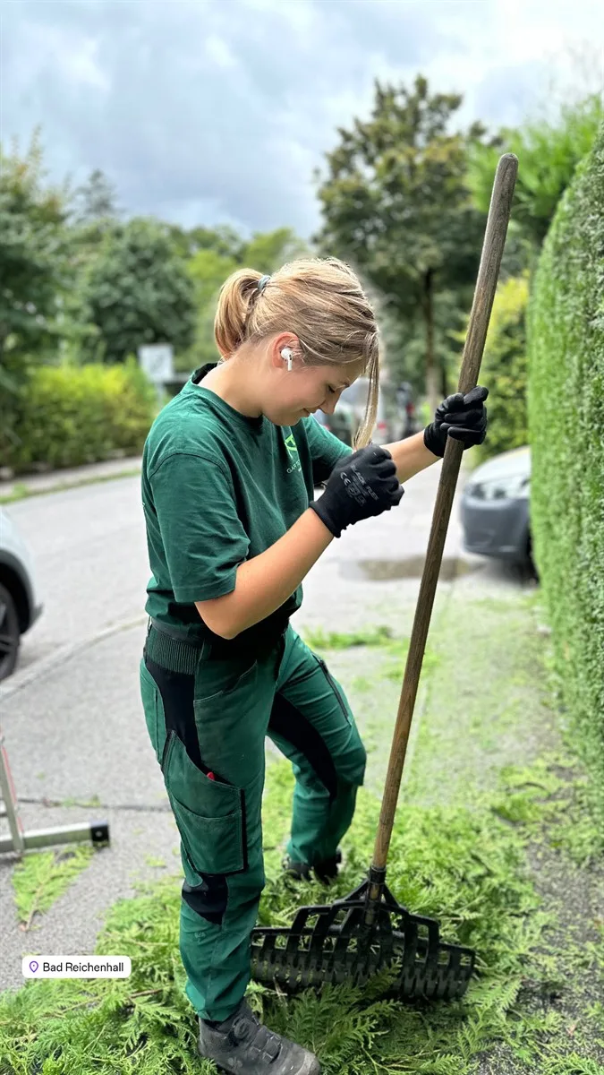 Gartenservice Dormann Referenz