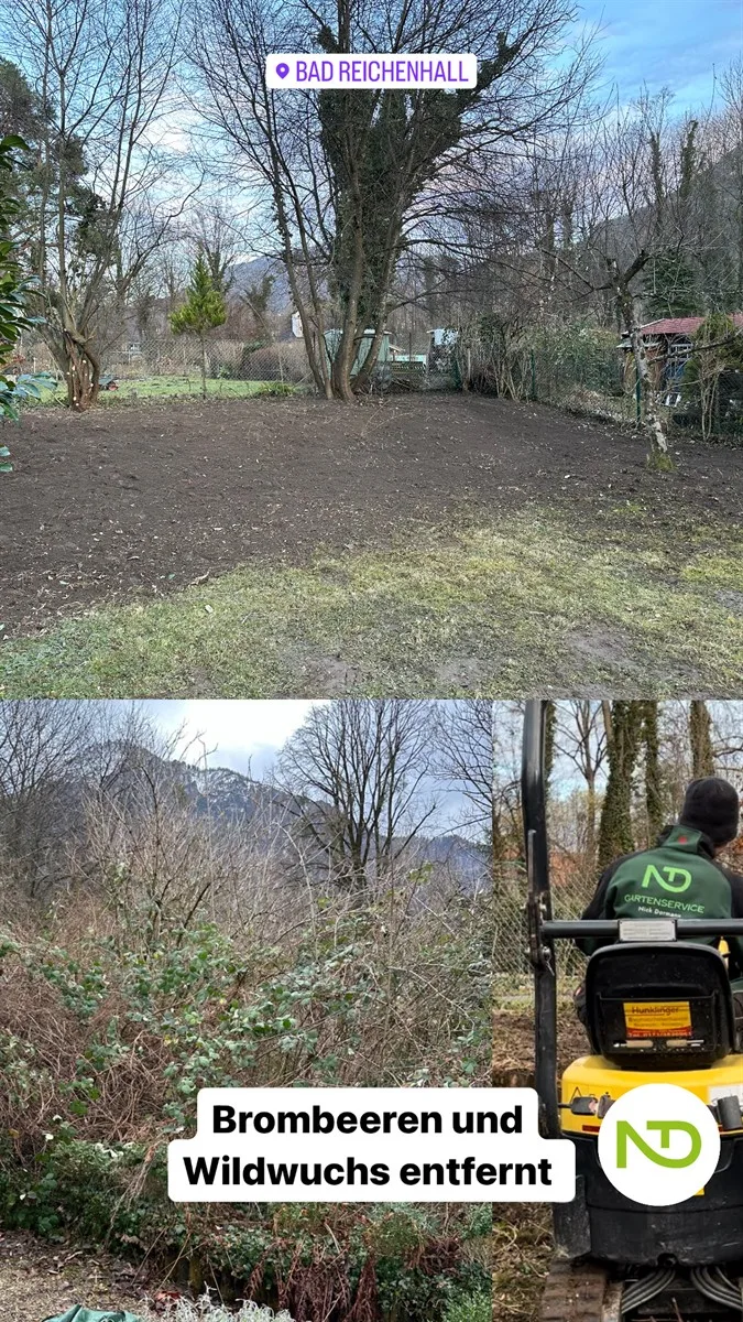 Gartenservice Dormann Referenz