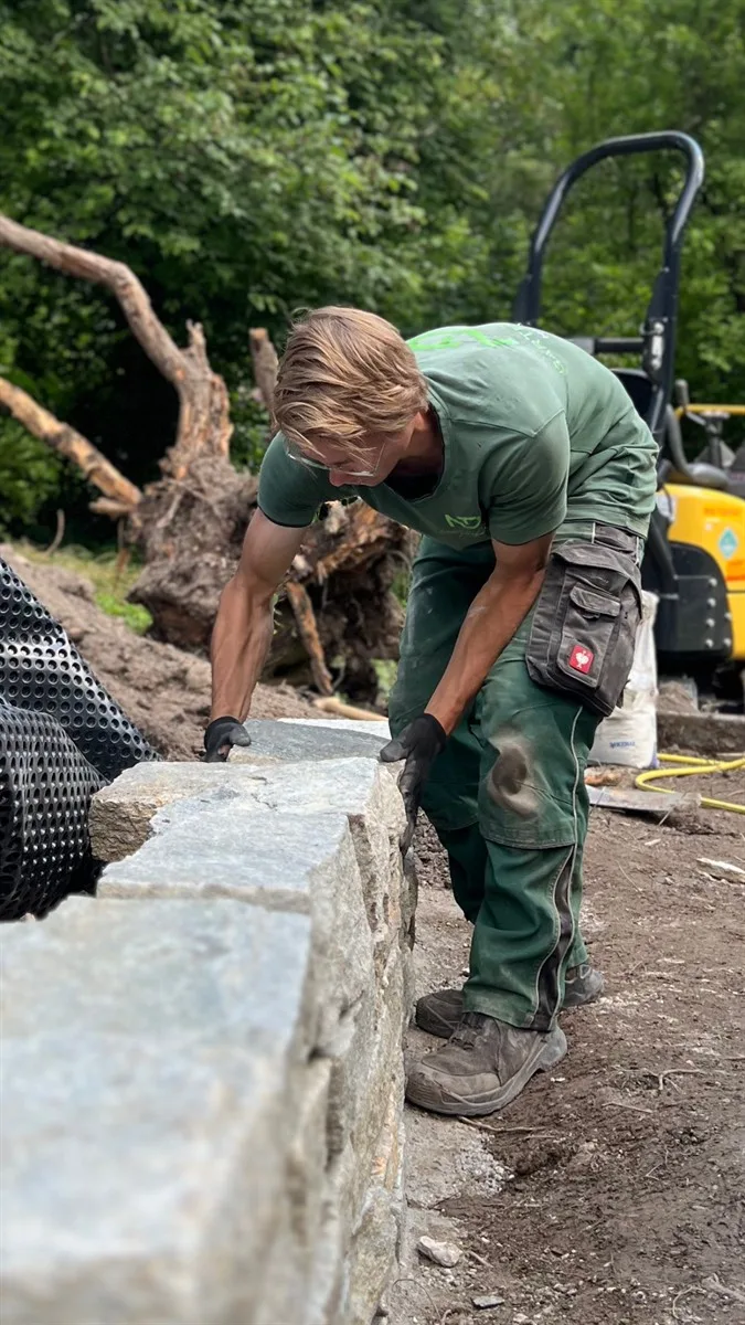 Gartenservice Dormann Referenz