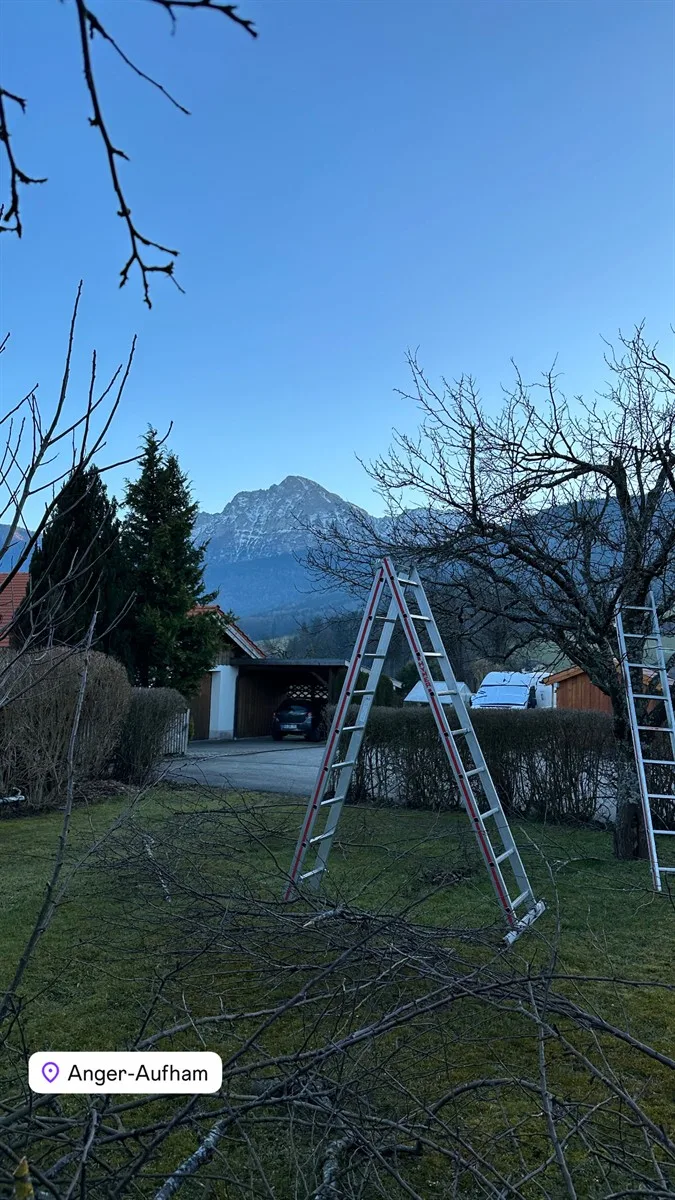 Gartenservice Dormann Referenz
