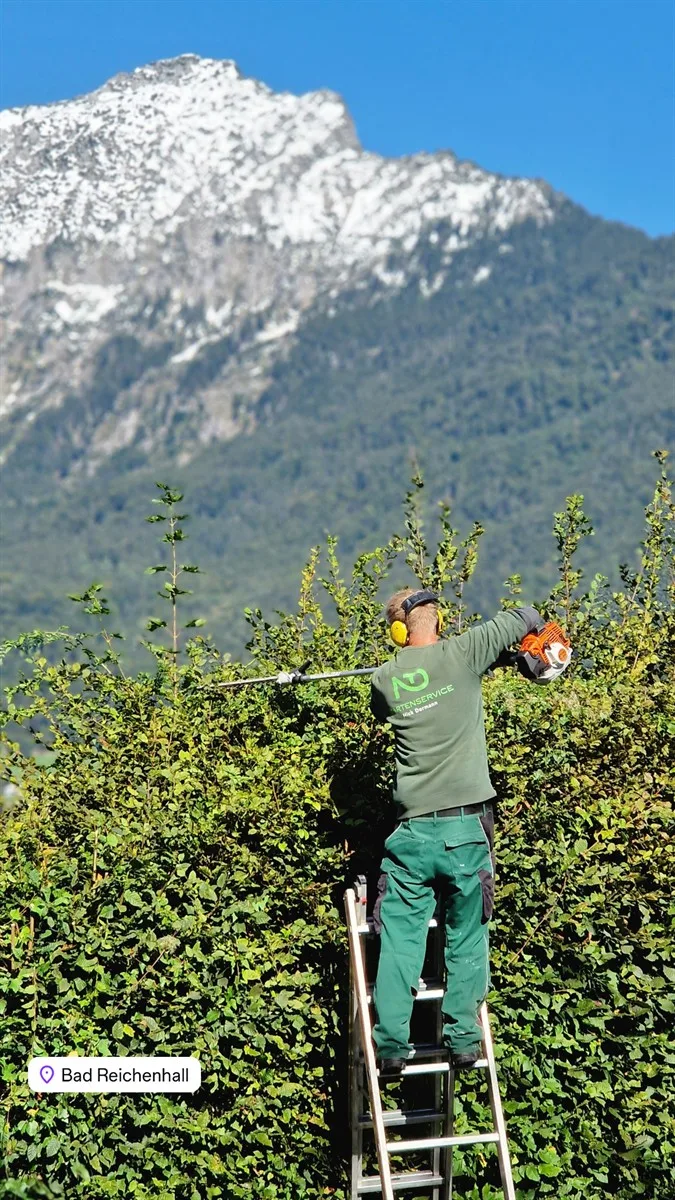 Gartenservice Dormann Referenz