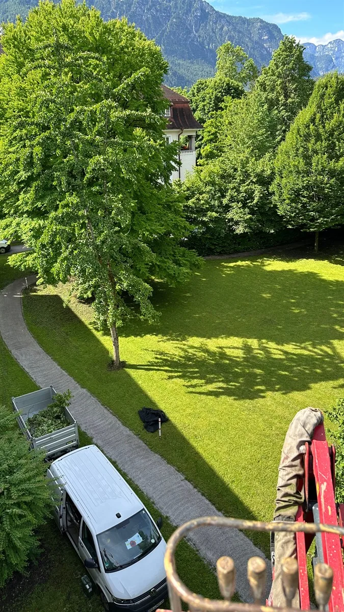 Gartenservice Dormann Referenz