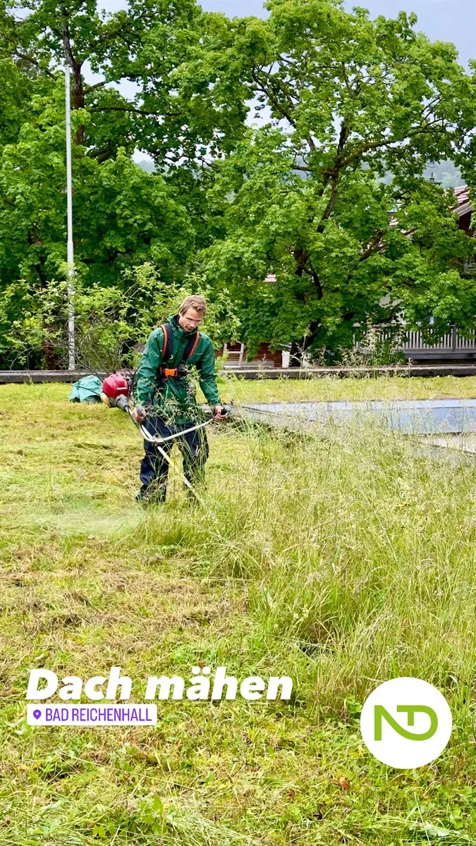 Gartenservice Dormann Referenz