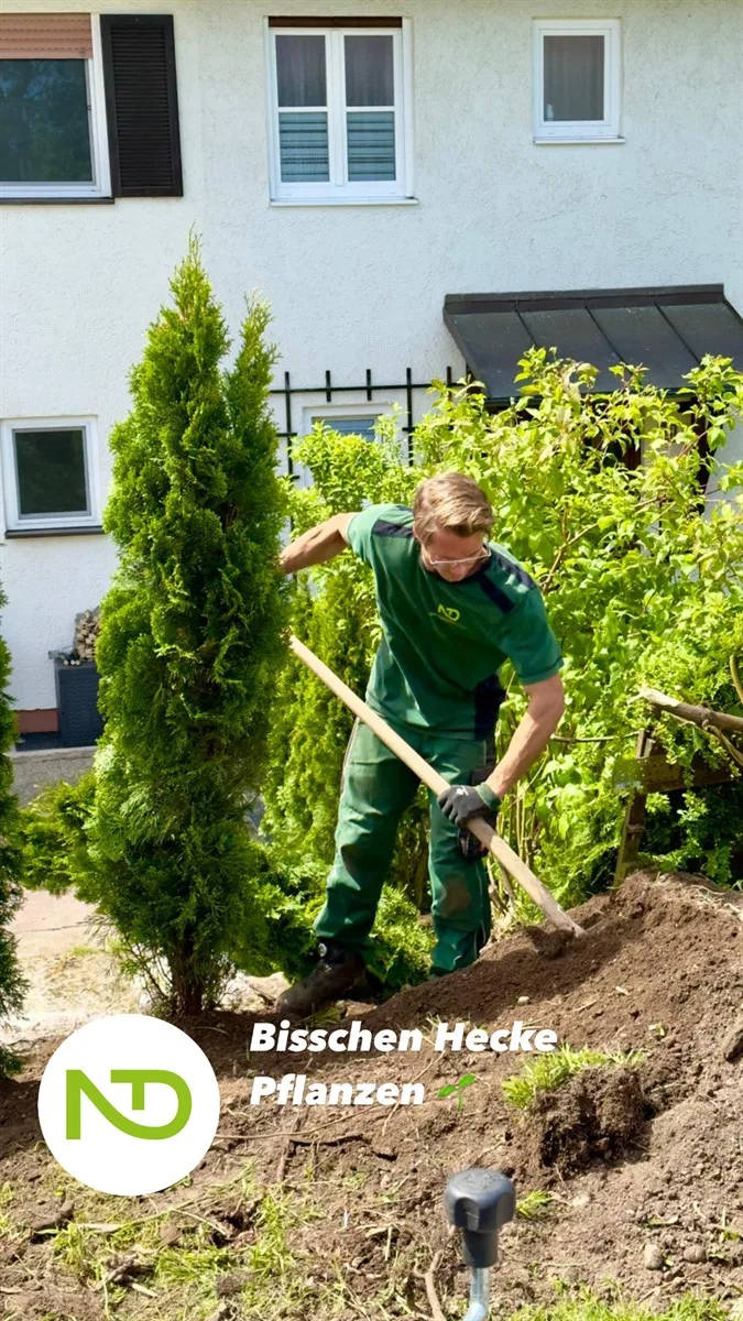 Gartenservice Dormann Referenz