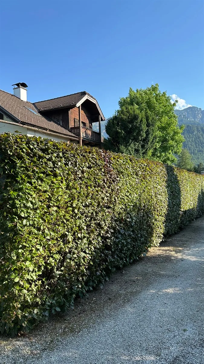 Gartenservice Dormann Referenz