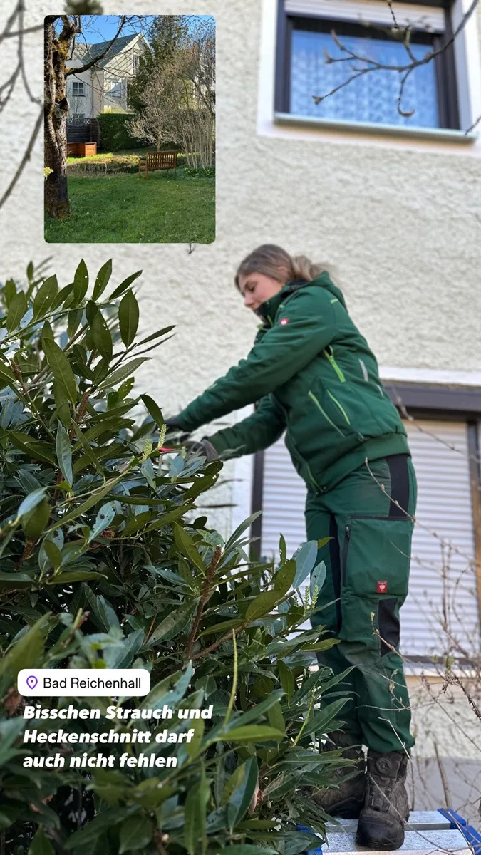 Gartenservice Dormann Referenz