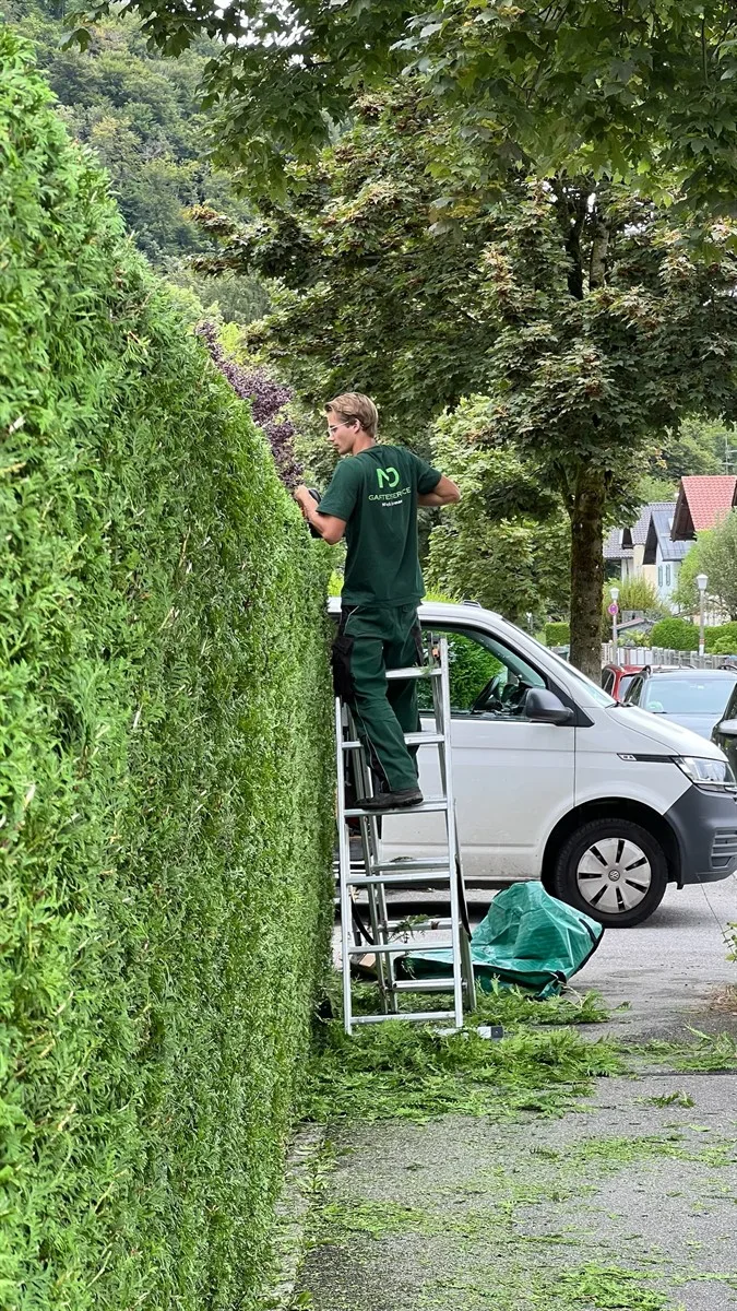 Gartenservice Dormann Referenz