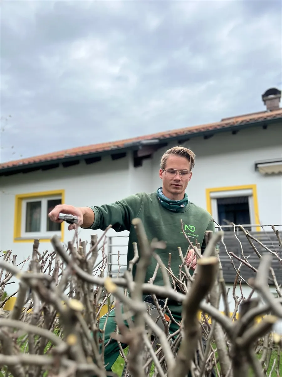 Gartenservice Dormann Referenz