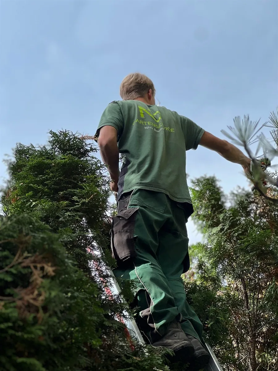 Gartenservice Dormann Referenz