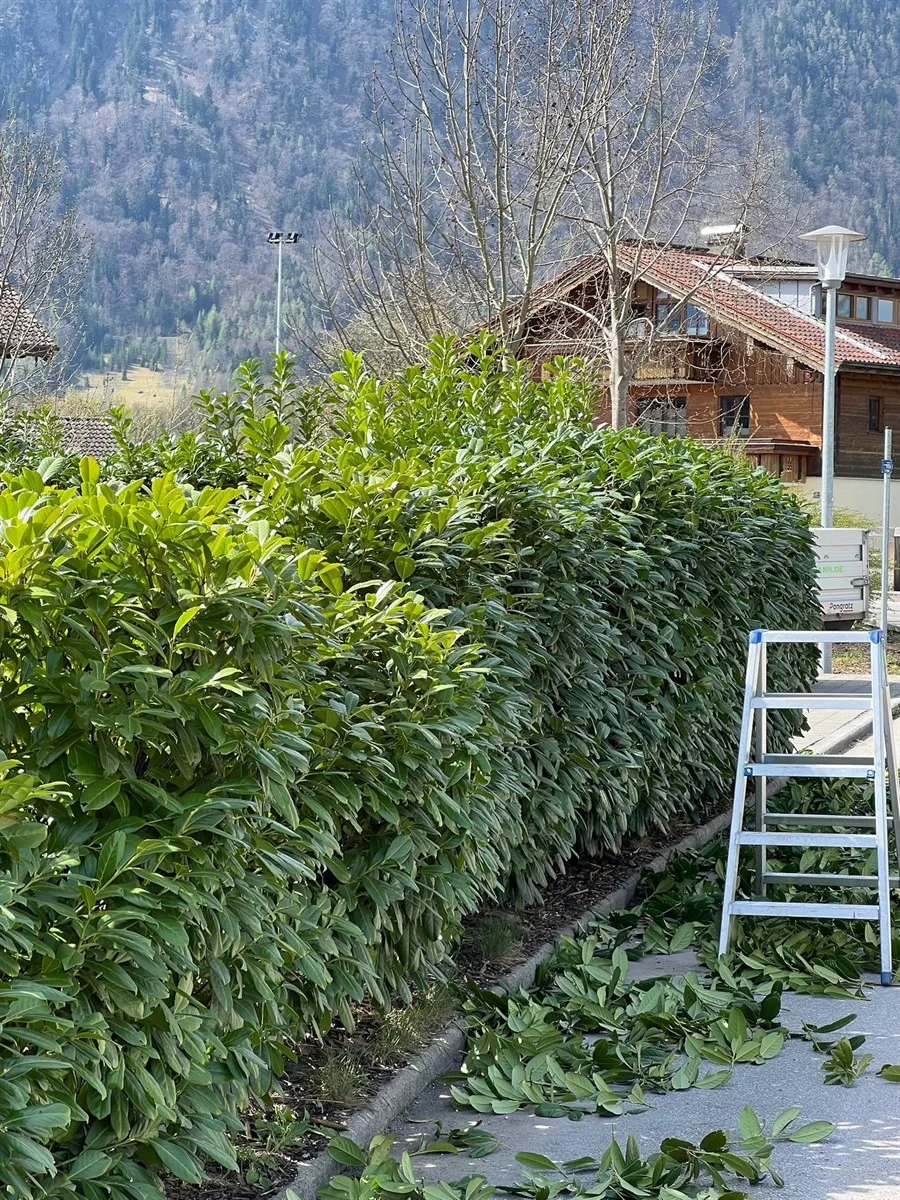 Gartenservice Dormann Referenz