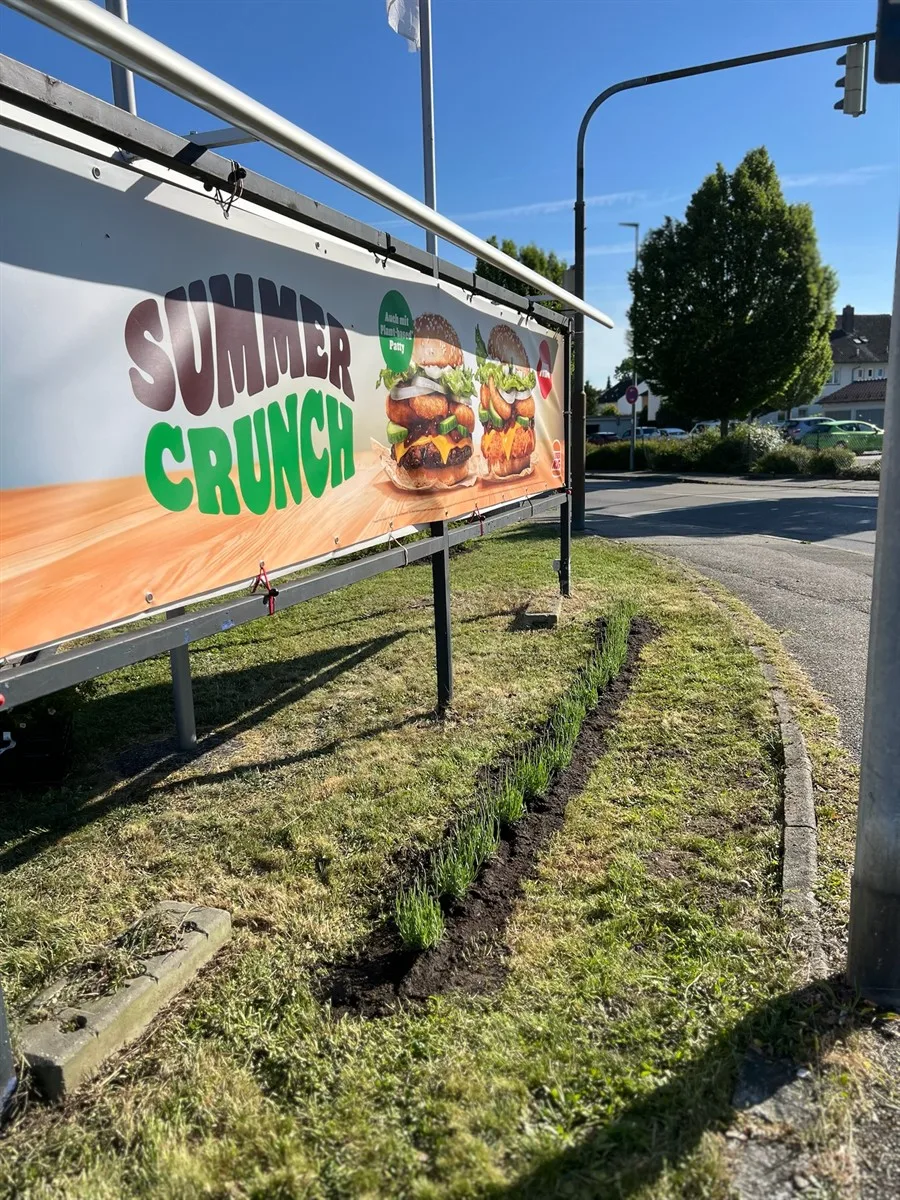 Gartenservice Dormann Referenz