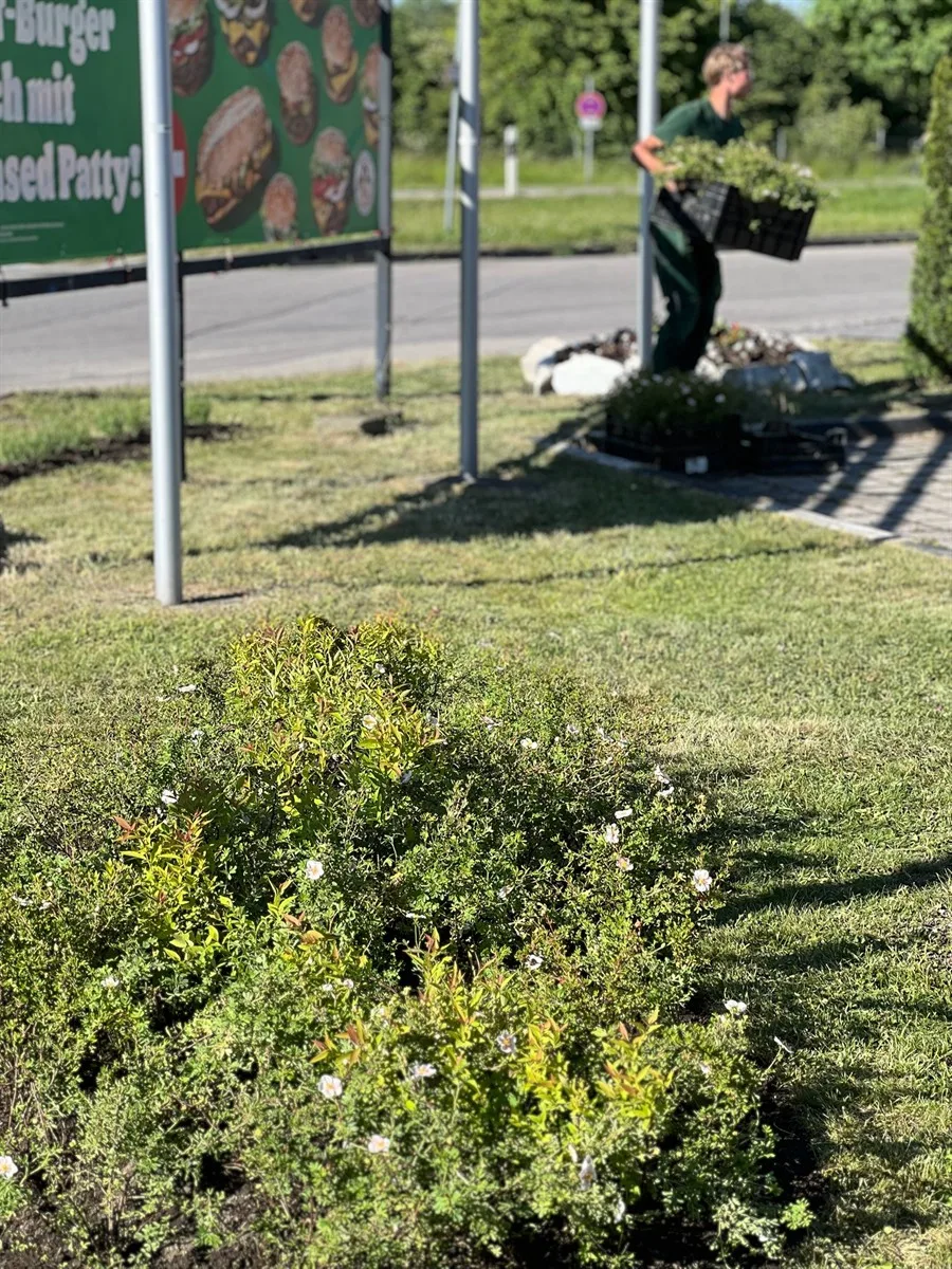Gartenservice Dormann Referenz