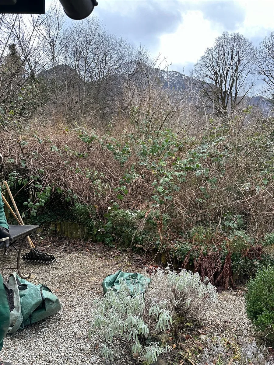 Gartenservice Dormann Referenz