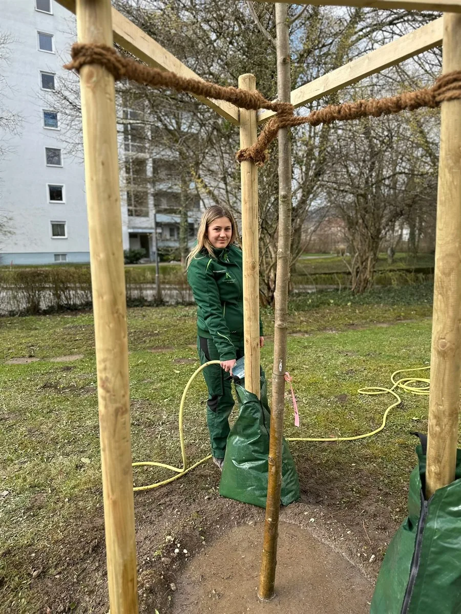 Gartenservice Dormann Referenz