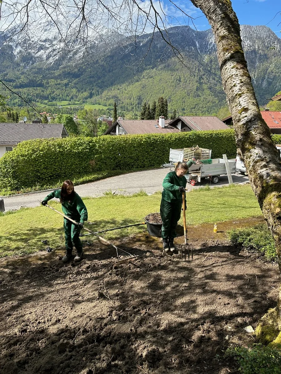 Gartenservice Dormann Referenz