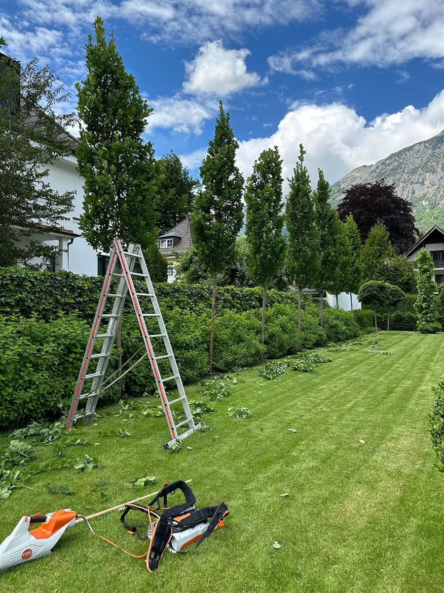 Gartenservice Dormann Referenz
