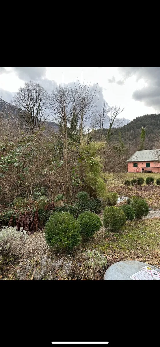 Gartenservice Dormann Referenz