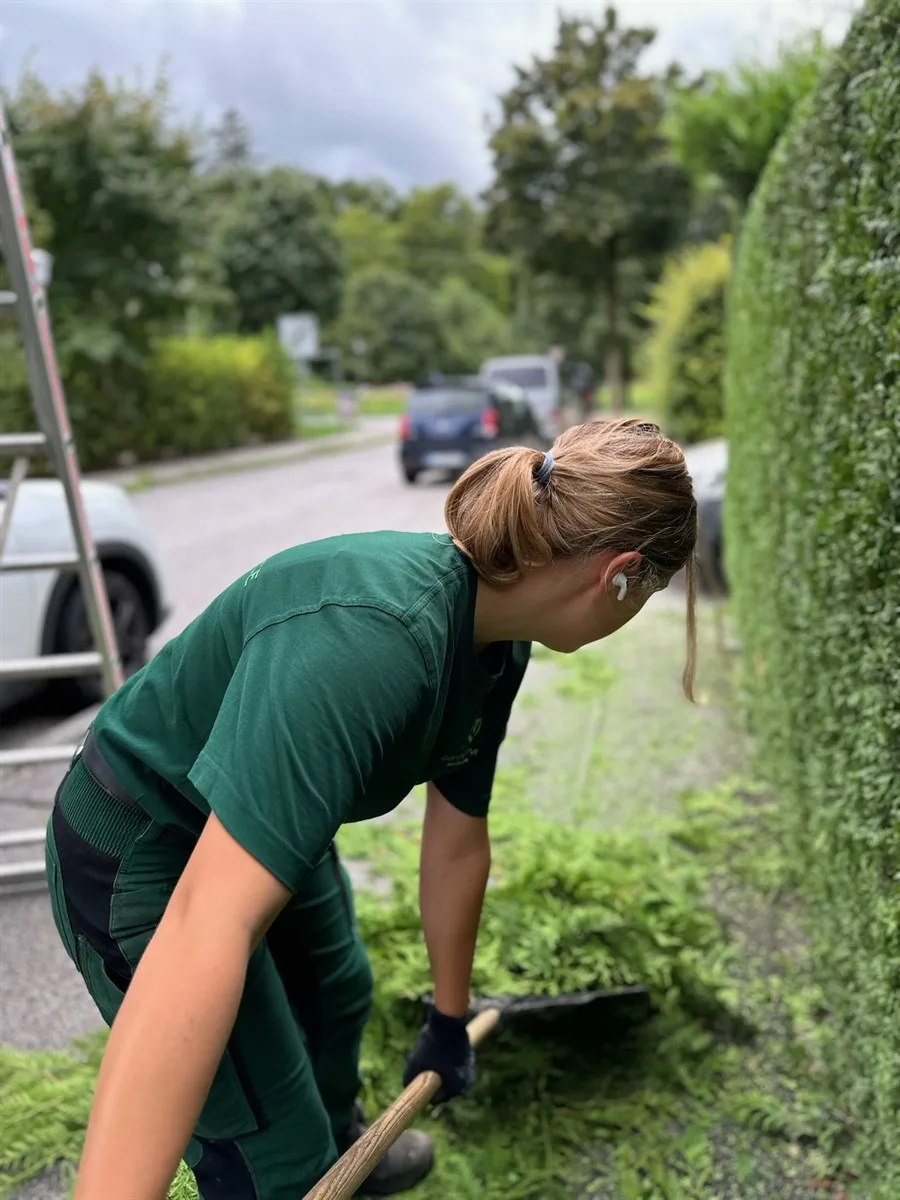 Gartenservice Dormann Referenz