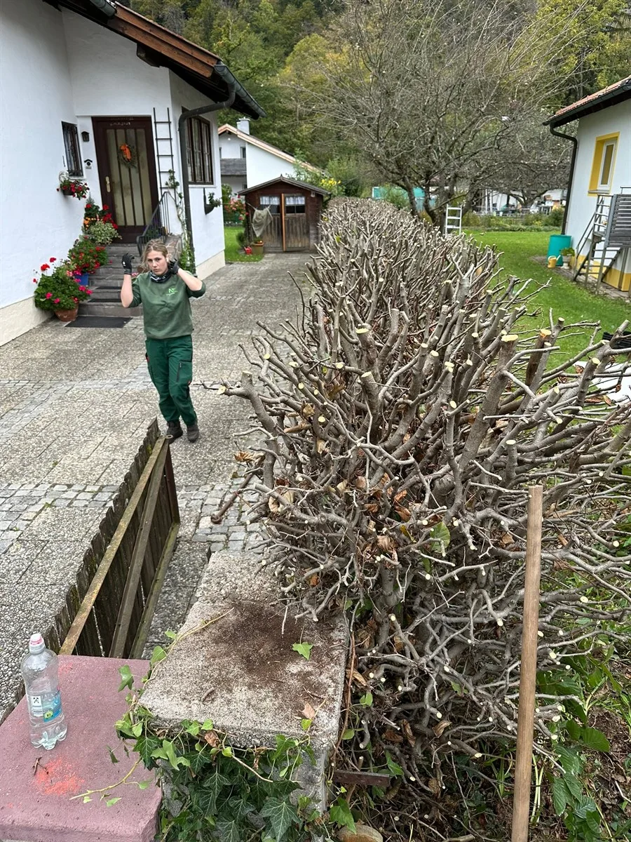 Gartenservice Dormann Referenz