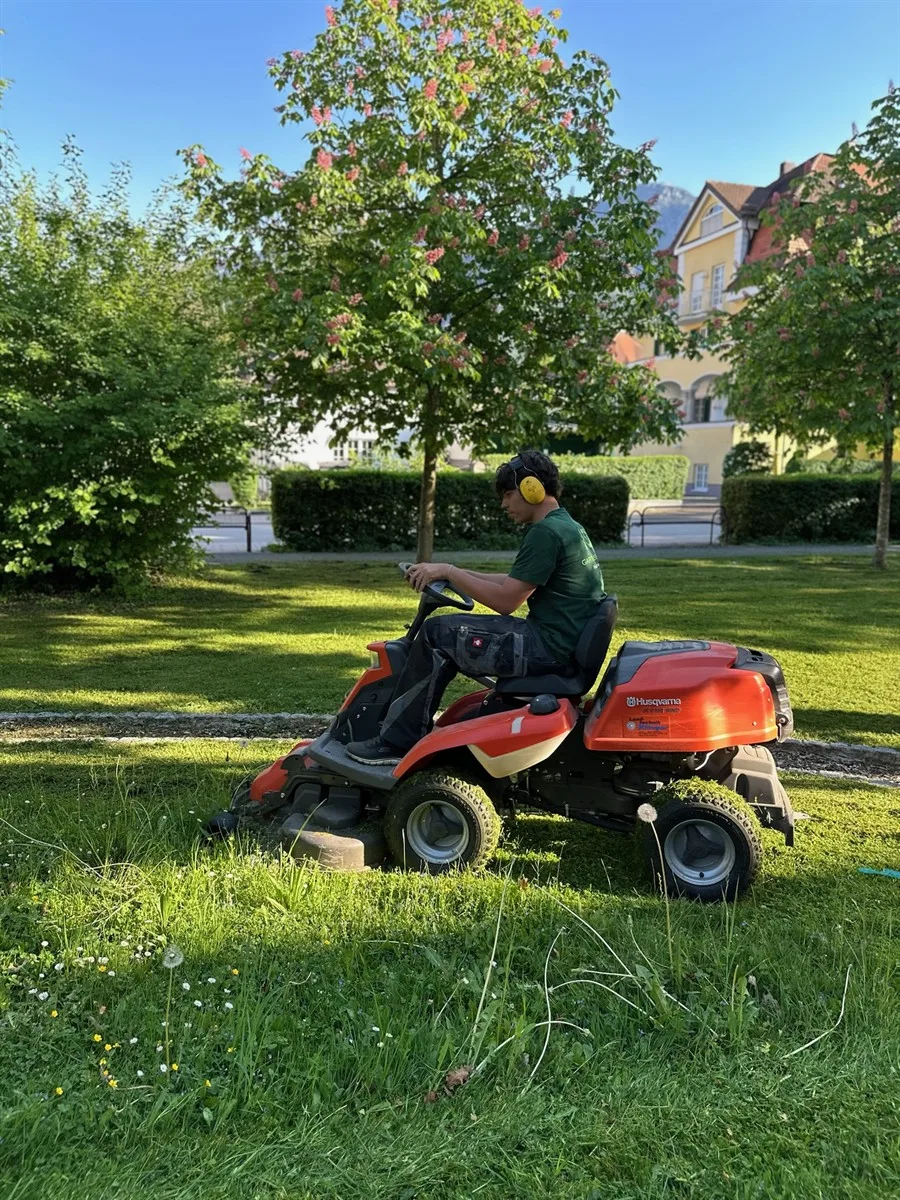 Gartenservice Dormann Referenz
