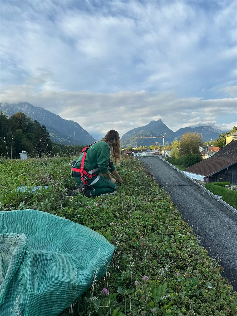 Gartenservice Dormann Referenz