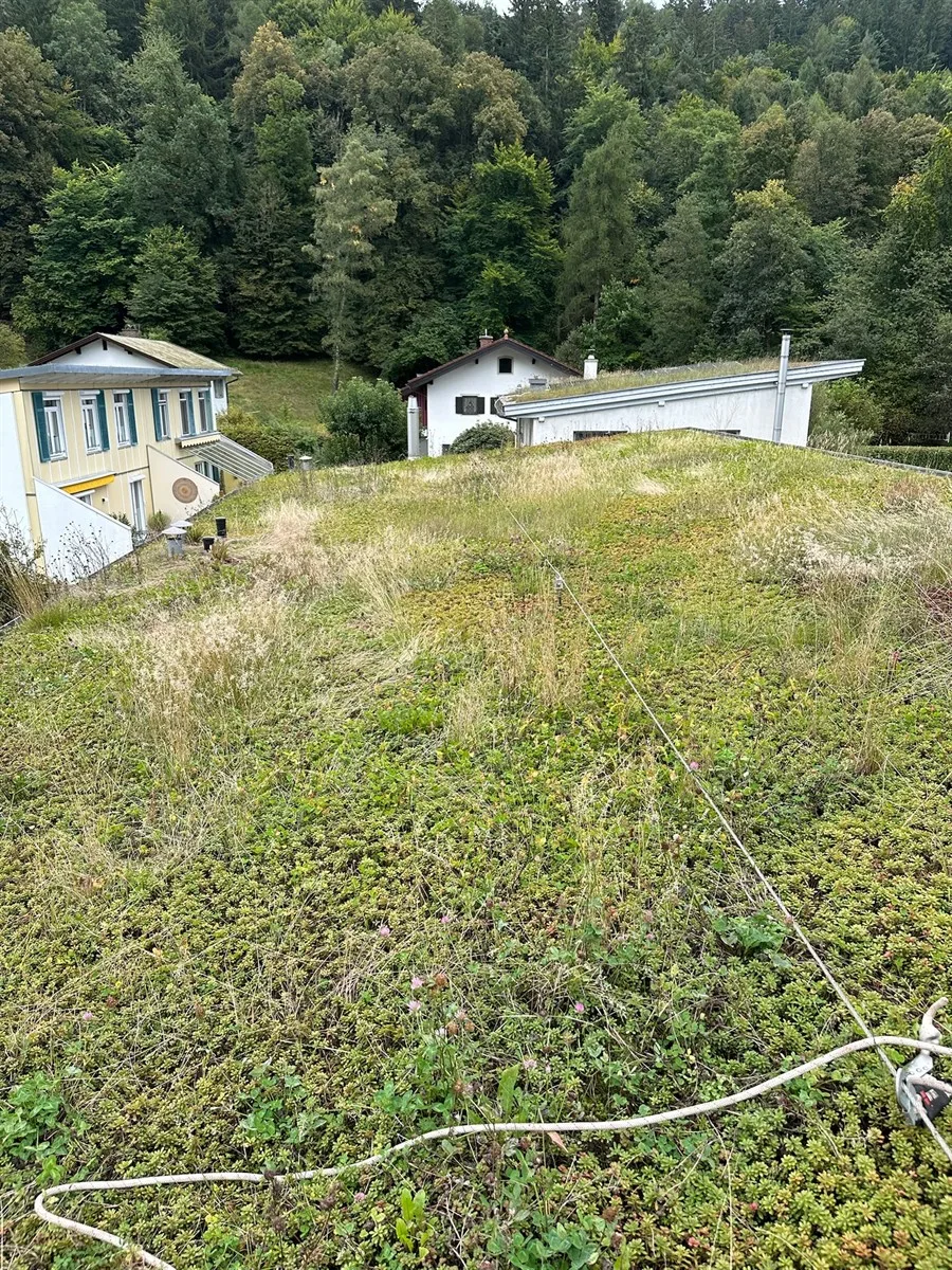 Gartenservice Dormann Referenz
