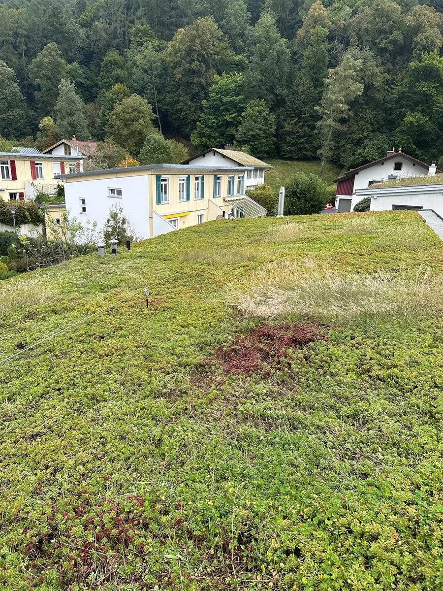 Gartenservice Dormann Referenz