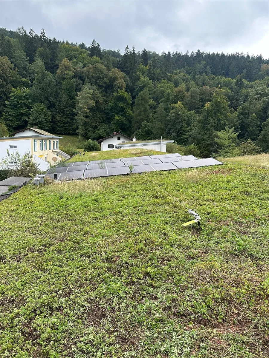 Gartenservice Dormann Referenz