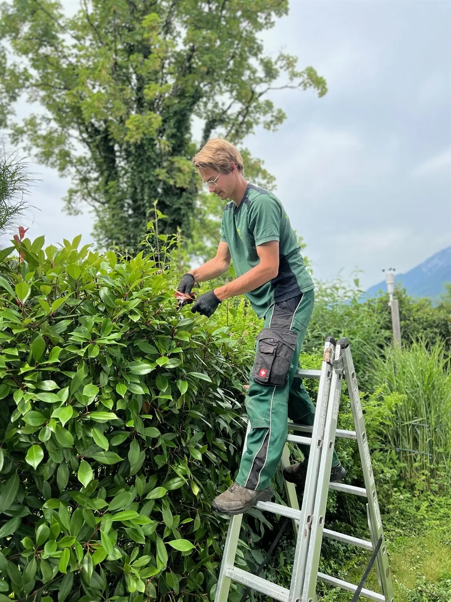 Gartenservice Dormann Referenz