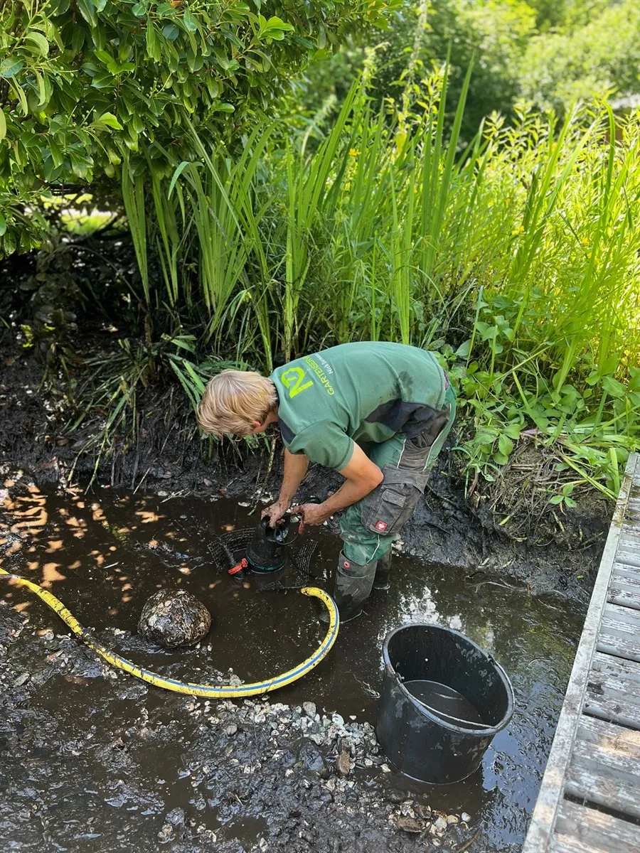 Gartenservice Dormann Referenz