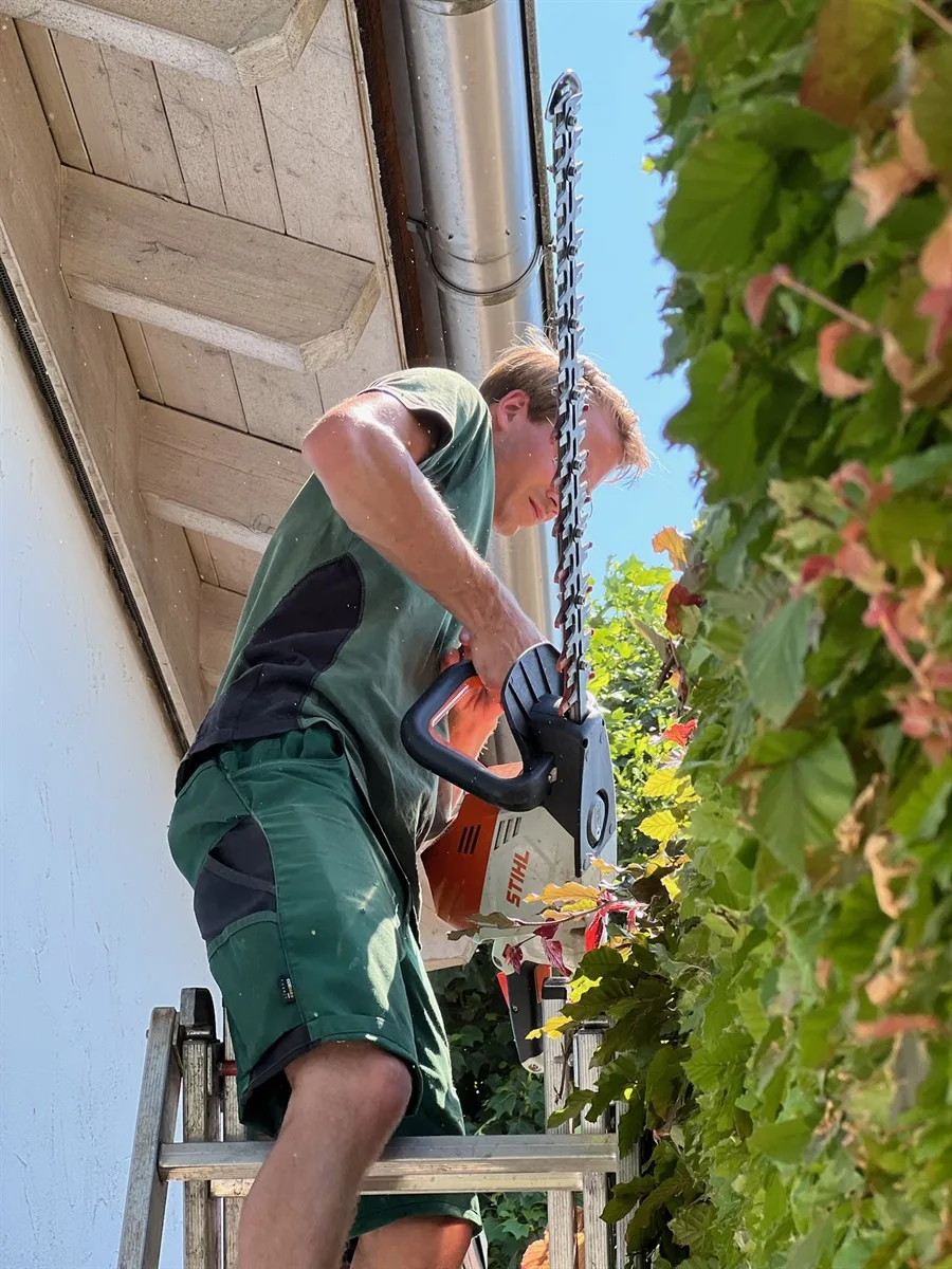 Gartenservice Dormann Referenz