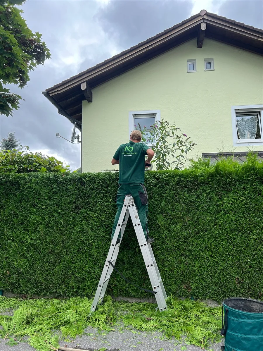 Gartenservice Dormann Referenz