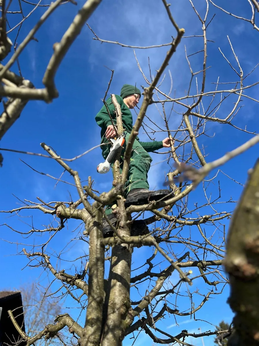 Gartenservice Dormann Referenz